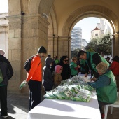 AECC Castellón en marcha