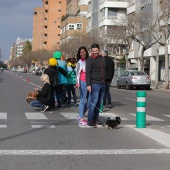 Marató BP Castelló