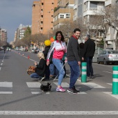 Marató BP Castelló