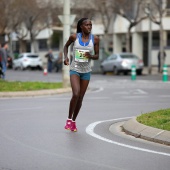 Marató BP Castelló