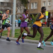 Marató BP Castelló