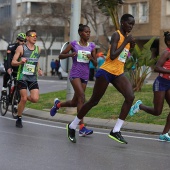 Marató BP Castelló