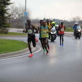 Marató BP Castelló