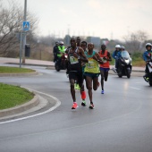 Marató BP Castelló