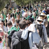 Romeria de les Canyes