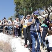 Romeria de les Canyes