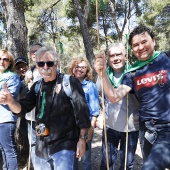 Romeria de les Canyes