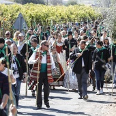 Romeria de les Canyes