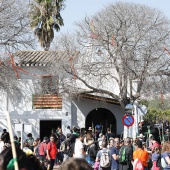 Romeria de les Canyes