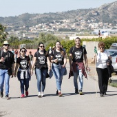 Romeria de les Canyes