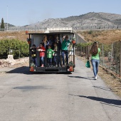 Romeria de les Canyes