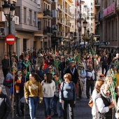 Romeria de les Canyes