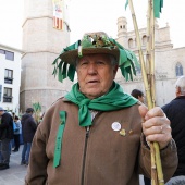 Romeria de les Canyes