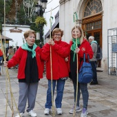 Romeria de les Canyes