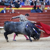 Feria de la Magdalena 2019