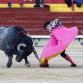 Feria de la Magdalena 2019