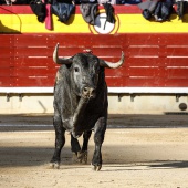 Feria de la Magdalena 2019