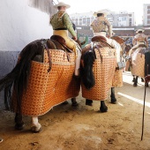 Feria de la Magdalena 2019