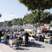 Concurso de paellas Intercollas