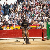 Feria de la Magdalena 2019