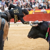 Feria de la Magdalena 2019