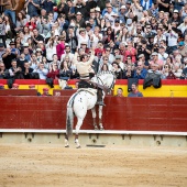 Feria de la Magdalena 2019