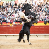 Feria de la Magdalena 2019