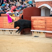 Feria de la Magdalena 2019