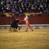 Feria de la Magdalena