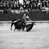 Feria de la Magdalena