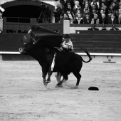 Feria de la Magdalena