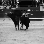 Feria de la Magdalena