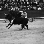 Feria de la Magdalena