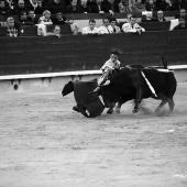 Feria de la Magdalena