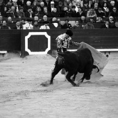 Feria de la Magdalena