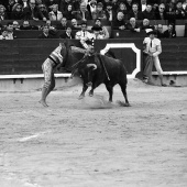 Feria de la Magdalena