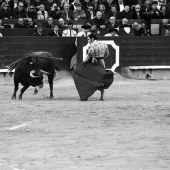 Feria de la Magdalena