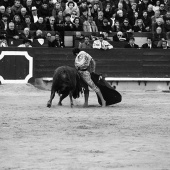 Feria de la Magdalena