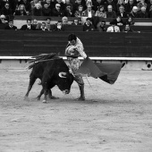 Feria de la Magdalena