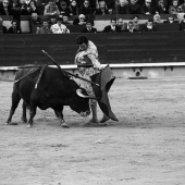 Feria de la Magdalena