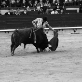 Feria de la Magdalena