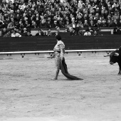 Feria de la Magdalena