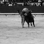 Feria de la Magdalena