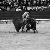 Feria de la Magdalena