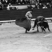 Feria de la Magdalena