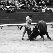 Feria de la Magdalena