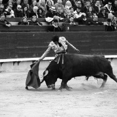 Feria de la Magdalena