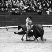 Feria de la Magdalena