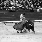 Feria de la Magdalena