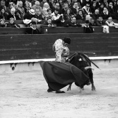 Feria de la Magdalena